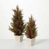 imageSullivans Cedar and Berry Tree Set 0f 2 Christmas Dcor Trees Holiday Decor Christmas Tabletop Trees Mantle Decor Christmas Decorations
