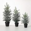 imageSullivans Green Potted Snowy Pine Tree Set of 3 Christmas Dcor Trees Holiday Decor Christmas Tabletop Trees Mantle Decor Christmas Decorations