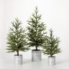imageSullivans Pine Tree Set in Metal Pots Christmas Dcor Trees Holiday Decor Christmas Tabletop Trees Mantle Decor Christmas Decorations