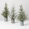 imageSullivans Pine Tree Set of 3 Christmas Dcor Trees Holiday Decor Christmas Tabletop Trees Mantle Decor Christmas Decorations