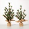 imageSullivans Pine Tree with Bells Set 2 Christmas Dcor Trees Holiday Decor Christmas Tabletop Trees Mantle Decor Christmas Decorations