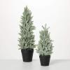 imageSullivans Potted Snowy Pine Tree Set of 2 Christmas Dcor Trees Holiday Decor Christmas Tabletop Trees Mantle Decor Christmas Decorations