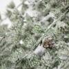 image:imageSullivans 40 Inch Draping Snowy Pine Tree Artificial Christmas Tree Dcor for Home Holiday Decoration