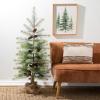 image:imageSullivans 50 Inch Small Black Hill Pine Tree in Burlap Stand Artificial Christmas Tree Dcor for Home Holiday Decoration