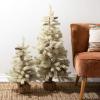 image:imageSullivans Cream Color Pine Frosted Tree Set of 2 24 H and 38 H Artificial Christmas Tree Dcor for Home Holiday Decoration