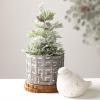 image:imageSullivans Green Potted Pine Artificial Tree 12 Set of 2 Christmas Dcor Trees Holiday Decor Christmas Tabletop Trees Mantle Decor Christmas Decorations