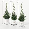 image:imageSullivans Potted Cypress Evergreen Trio Set of 3 Seasonal Fresh Cut Trees Artificial Trees Fake Indoor Tree Artificial Greenery Office Dcor