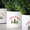 image:imageSullivans Potted Cypress Evergreen Trio Set of 3 Seasonal Fresh Cut Trees Artificial Trees Fake Indoor Tree Artificial Greenery Office Dcor