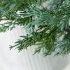 image:imageSullivans Potted Green Cypress Tree Set of 2 4 6 H and 38 H Artificial Christmas Tree Dcor for Home Holiday Decoration