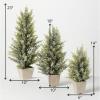 image:imageSullivans Potted Pine and Berry Tree Set Christmas Dcor Trees Holiday Decor Christmas Tabletop Trees Mantle Decor Christmas Decorations