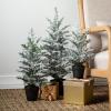 image:imageSullivans Tabletop Frosted Pine Tree Set of 3 155 H 205 H and 25 H Artificial Christmas Tree Dcor for Home Holiday Decoration