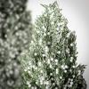 image:imageSullivans White Berry Snow Frosted Tree Set of 2 17 H and 22 H Artificial Christmas Tree Dcor for Home Holiday Decoration