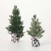 image:imageSullivans 175 Cypress Trees in Plaid Gunny Sacks Christmas Dcor Trees Holiday Decor Christmas Tabletop Trees Mantle Decor Christmas Decorations