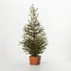 image:imageSullivans 35 Inch Potted Green Cedar Pinecone Tree Artificial Christmas Tree Dcor for Home Holiday Decoration