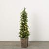 image:imageSullivans 4 Foot Medium LED Lit Pine Tree Set in Planter Artificial Christmas Tree Dcor for Home Holiday Decoration
