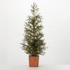 image:imageSullivans 45 Inch Potted Green Cedar Pinecone Tree Artificial Christmas Tree Dcor for Home Holiday Decoration