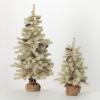 image:imageSullivans Cream Color Pine Frosted Tree Set of 2 24 H and 38 H Artificial Christmas Tree Dcor for Home Holiday Decoration
