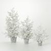 image:imageSullivans Frosted Juniper Tabletop Trees Set of 3 19 23 and 32 Tall Artificial Christmas Tree Dcor for Home Holiday Decoration