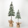 image:imageSullivans Pencil Pine Tree in Burlap Stand Set of 2 36 H and 54 H Artificial Christmas Tree Dcor for Home Holiday Decoration