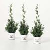 image:imageSullivans Potted Cypress Evergreen Trio Set of 3 Seasonal Fresh Cut Trees Artificial Trees Fake Indoor Tree Artificial Greenery Office Dcor