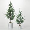 image:imageSullivans Potted Green Cypress Tree Set of 2 4 6 H and 38 H Artificial Christmas Tree Dcor for Home Holiday Decoration