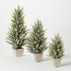 image:imageSullivans Potted Pine and Berry Tree Set Christmas Dcor Trees Holiday Decor Christmas Tabletop Trees Mantle Decor Christmas Decorations