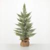 image:imageSullivans Snow Ball Pine Tree in Burlap Christmas Dcor Trees Holiday Decor Christmas Tabletop Trees Mantle Decor Christmas Decorations