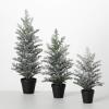 image:imageSullivans Tabletop Frosted Pine Tree Set of 3 155 H 205 H and 25 H Artificial Christmas Tree Dcor for Home Holiday Decoration