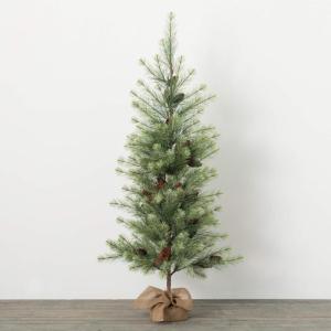 image:imageSullivans 5 Foot Black Hills Pine Tree Christmas Dcor Trees Holiday Decor Christmas Tabletop Trees Mantle Decor Christmas Decorations