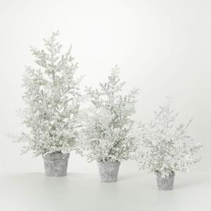 image:imageSullivans Frosted Juniper Tabletop Trees Set of 3 19 23 and 32 Tall Artificial Christmas Tree Dcor for Home Holiday Decoration