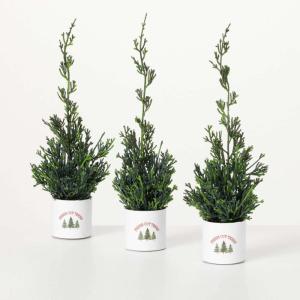 image:imageSullivans Potted Cypress Evergreen Trio Set of 3 Seasonal Fresh Cut Trees Artificial Trees Fake Indoor Tree Artificial Greenery Office Dcor