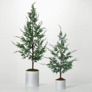 image:imageSullivans Potted Green Cypress Tree Set of 2 4 6 H and 38 H Artificial Christmas Tree Dcor for Home Holiday Decoration