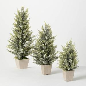 image:imageSullivans Potted Pine and Berry Tree Set Christmas Dcor Trees Holiday Decor Christmas Tabletop Trees Mantle Decor Christmas Decorations