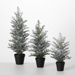 image:imageSullivans Tabletop Frosted Pine Tree Set of 3 155 H 205 H and 25 H Artificial Christmas Tree Dcor for Home Holiday Decoration