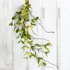 image:imageSullivans 6 ft Ruscus Green Leafy Twig Garland Artificial Greenery Spring Garland Decor Perfect for Weddings Fireplace Mantels Dining and Living Room