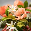 image:imageSullivans 145 Inch Peachy Poppy Small Wreath Spring and Summer Artificial Wreath Everyday Wreath Front Door Wreaths Indoor amp Outdoor Wreaths Door Entryway Porch Dcor