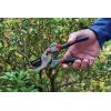 imageCRAFTSMAN Folding Hand Saw 8 in Blade Compact Design for Camping Pruning Cutting Wood Branches or BrushBypass Pruning Shears