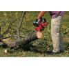 imageCRAFTSMAN V20 Cordless Chainsaw with Battery and Charger Included 12Inch CMCCS620M1Tool Only