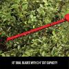 imageCRAFTSMAN V20 Cordless Pole Hedge Trimmer 18Inch Extended Reach Battery and Charger Included CMCPHT818D1Trimmer
