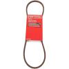 imageCMXGZAM501096 Snow Blower Wheel Drive Belts Natural