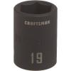 19 MM