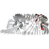 imageCRAFTSMAN Mechanics Tool Set SAE and Metric 12 14 and 38 Drive Sizes 298Piece CMMT12039NEW 298 Piece Set