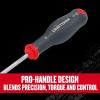 imageCRAFTSMAN VSERIES Screwdriver Set 2 Piece CMHT65619V8 Piece