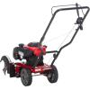 imageCraftsman Gas Powered Edger 140cc 4Cycle Briggs and Stratton Engine E450