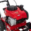 imageCraftsman Gas Powered Edger 140cc 4Cycle Briggs and Stratton Engine E450