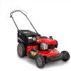 imageCraftsman Gas Powered Lawn Mower 21inch Push Mower 163cc Briggs ampamp Stratton Engine M125