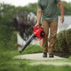 imageCRAFTSMAN Gas Powered Leaf Blower Handheld Gas Blower 180MPH 25cc 2Cycle B215