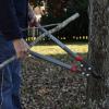 imageCraftsman 24Inch Carbon Steel Compound Bypass Lopper for Trimming Branches Shaping Trees and Pruning Bushes