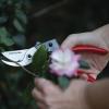 imageCraftsman 34in Manual Aluminum Bypass Hand Pruner for Cutting Trimming Branches Shaping Rose Bushes