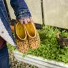 imageWestern Chief Womens Waterproof Clog with Neoprene Lining and Rubber Outsole  Perfect for Garden and Outdoor WearFolk Chickens